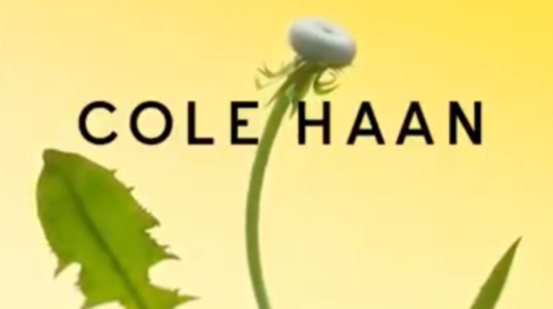 Cole-Haan ~ Gen Z